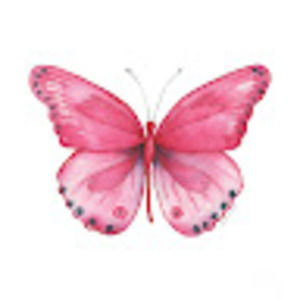 Meet your Posher, Pink
